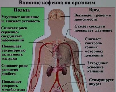Кофе мочегонное или задерживает воду