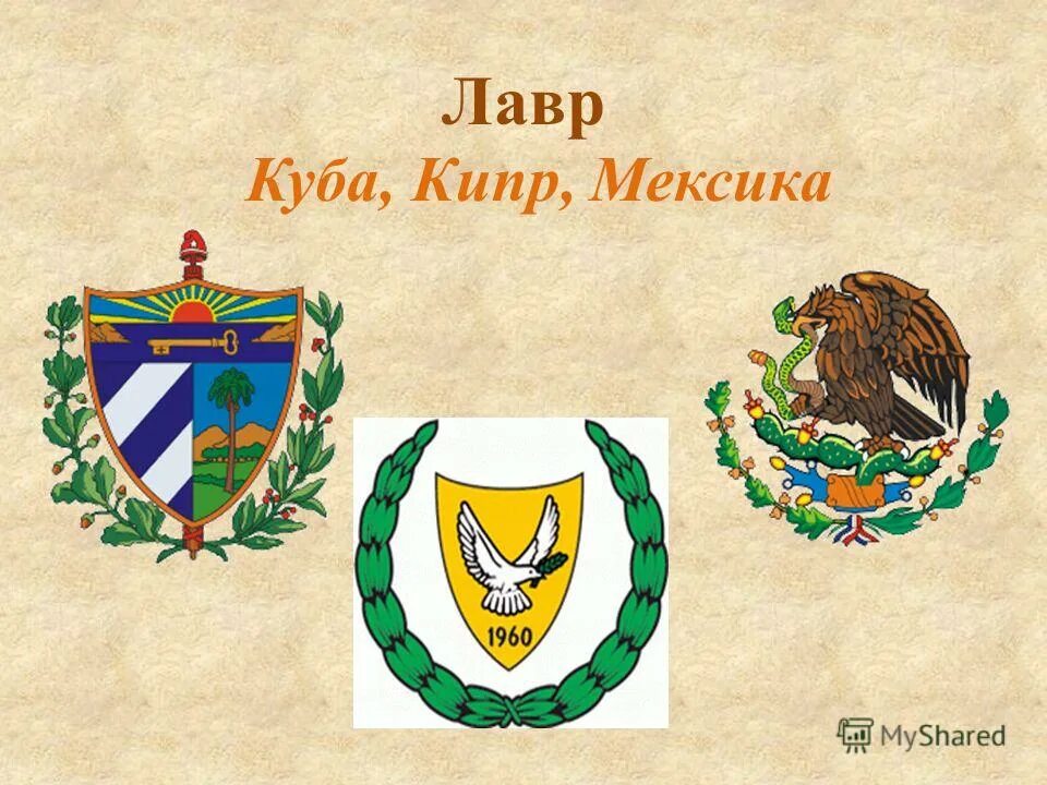 флаг и герб мексики мексики. красно зеленый флаг. на гербе мексики изображен растение. на гербе мексики изображен растение. растения на гербах.