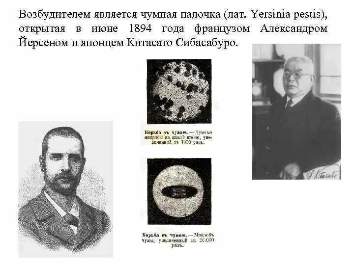 Чума ученые. Чума ученые. Бубонная чума в средневековье. Чучурма. Чума ученые.