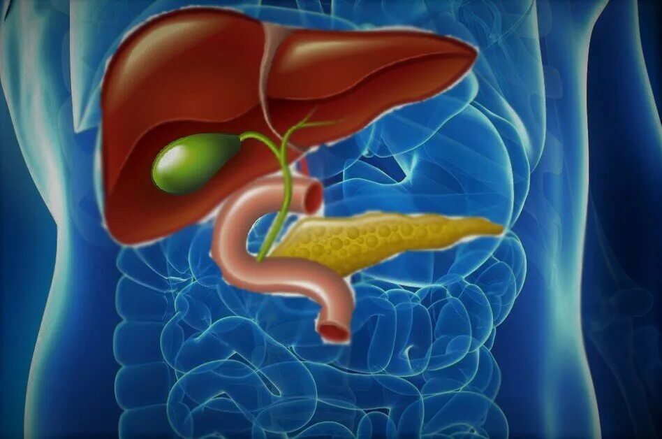 Пузырь в печени человека. Холецистит и ЖКБ И желчный пузырь. Печень и желчный пузырь.