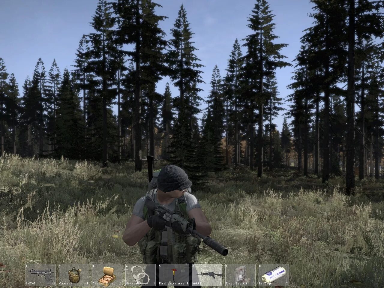 Системные требования дэйз. DAYZ Standalone. Day z системные требования. DAYZ (модификация). Как играть в dayz