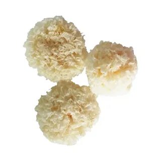 Грибы коралловые сушеные