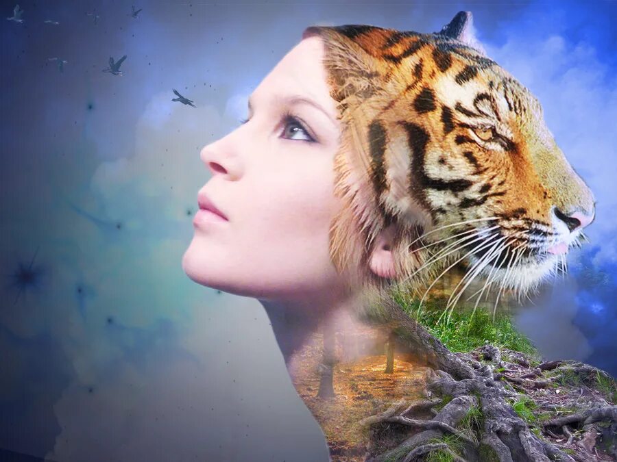 Принцесса и тигр. Аниме хилл тайгер. Богиня диана воительница. Тигр герл. Девушка и белый тигр.