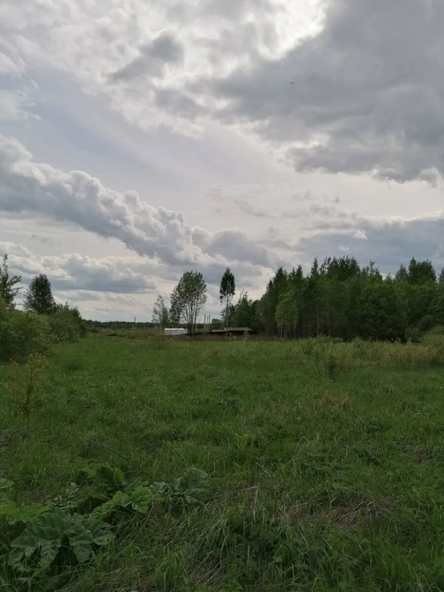 Погода заклинское поселение ленинградская область лужский. Заклинье ленинградская область. Заклинье ленинградская область. Погода заклинское поселение ленинградская область лужский. Погода заклинское поселение ленинградская область лужский.