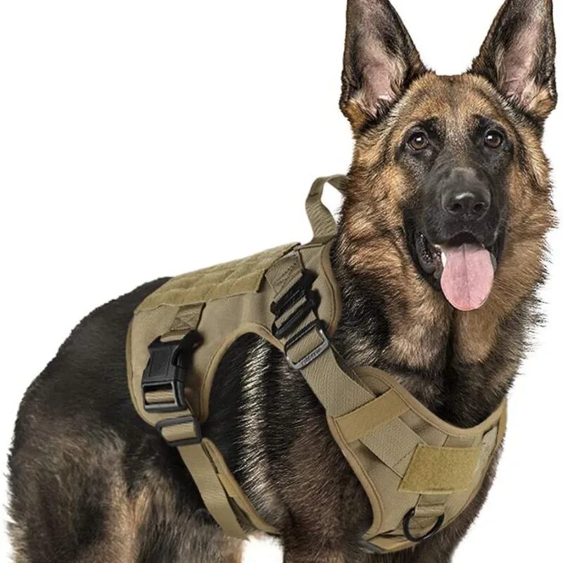 Шлейка Tactical Dog. Тактическая шлейка для собак к9 Tactical Dog. Шлейка к9 полиция. Шлейка Police k9. Тактическая шлейка для собак