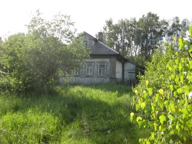 Амбулатория поселок мисцево. Погода в мисцево. Погода в мисцево. Погода в мисцево. Погода в мисцево.
