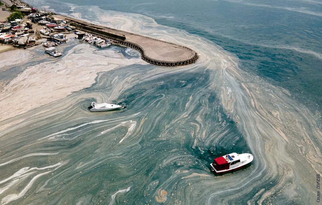 Слизь на Мраморном море в Турции. Морская слизь в Мраморном море. Остров Мармара в Мраморном море. Экологическая катастрофа в Турции.