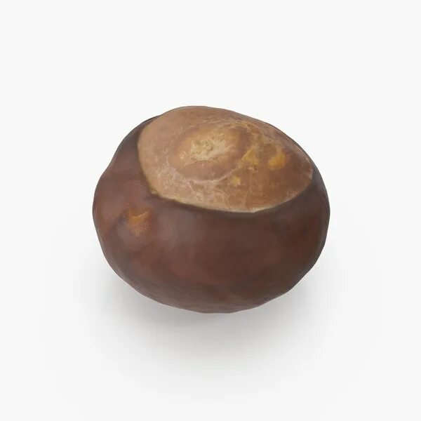 Каштан 2. Chestnut c 3 pro. 3d модель каштана. chestnut 3d model. модель орешка.