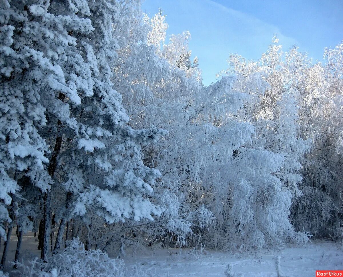 Февраль картинки. Февраль фото. Фавориты зимние