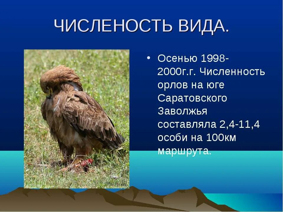 Краснокнижные птицы Саратовской области. Птицы Саратовской области занесенные в красную книгу. Степной Орел описание. Хищные птицы Саратовской области.