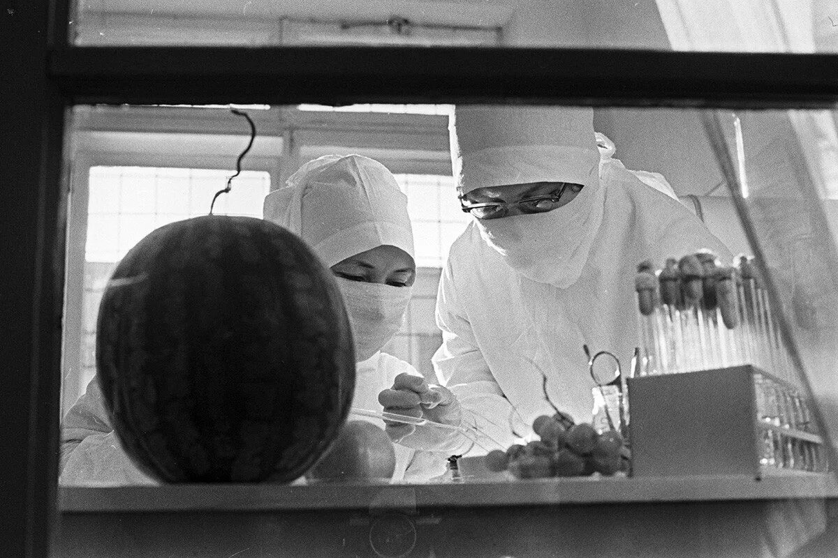 Одесса 1970 год эпидемия холеры википедия. Холера ссср 70 одесса. Чумка в одессе. Одесса 1970 год эпидемия холеры википедия. Эпидемия холеры в одессе в 1970.