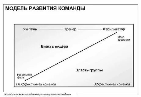 Модели развития группы