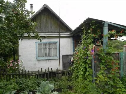 Авито недвижимость сада