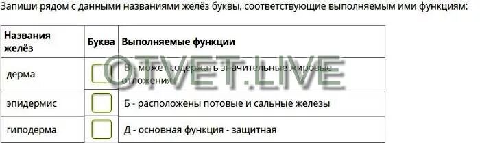 Формы бактерий кокки схема. Запиши рядом с данными названиями. Запиши рядом с данными бактерий буквы. Формы бактериальных клеток 5 класс биология. Запиши рядом с данными названия желез буквы соответствующие.