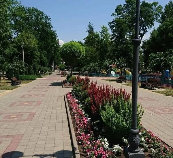 Динской парк культуры и отдыха. Комсомольский парк динская пляж. Парк и пляж в динской. Динской парк культуры и отдыха. Динской.