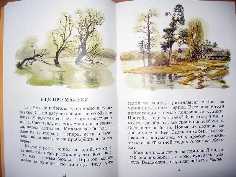 Белов о мальке главная мысль произведения. Книга Белова о Мальке.