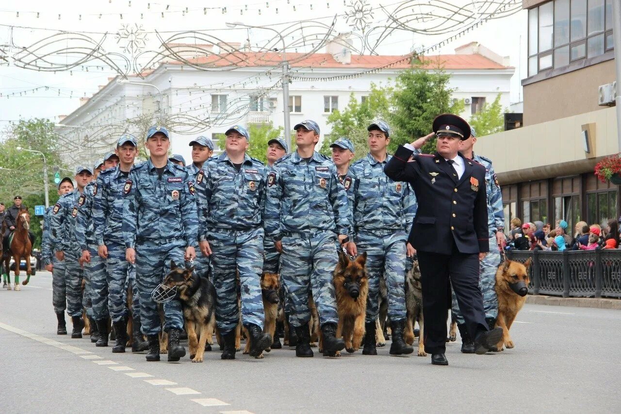 Кинологическая служба россии. Кинологическая служба полиции МВД России. Кинологи МВД России. День кинологических подразделений МВД России (день кинолога). Кинологические подразделения МВД России.