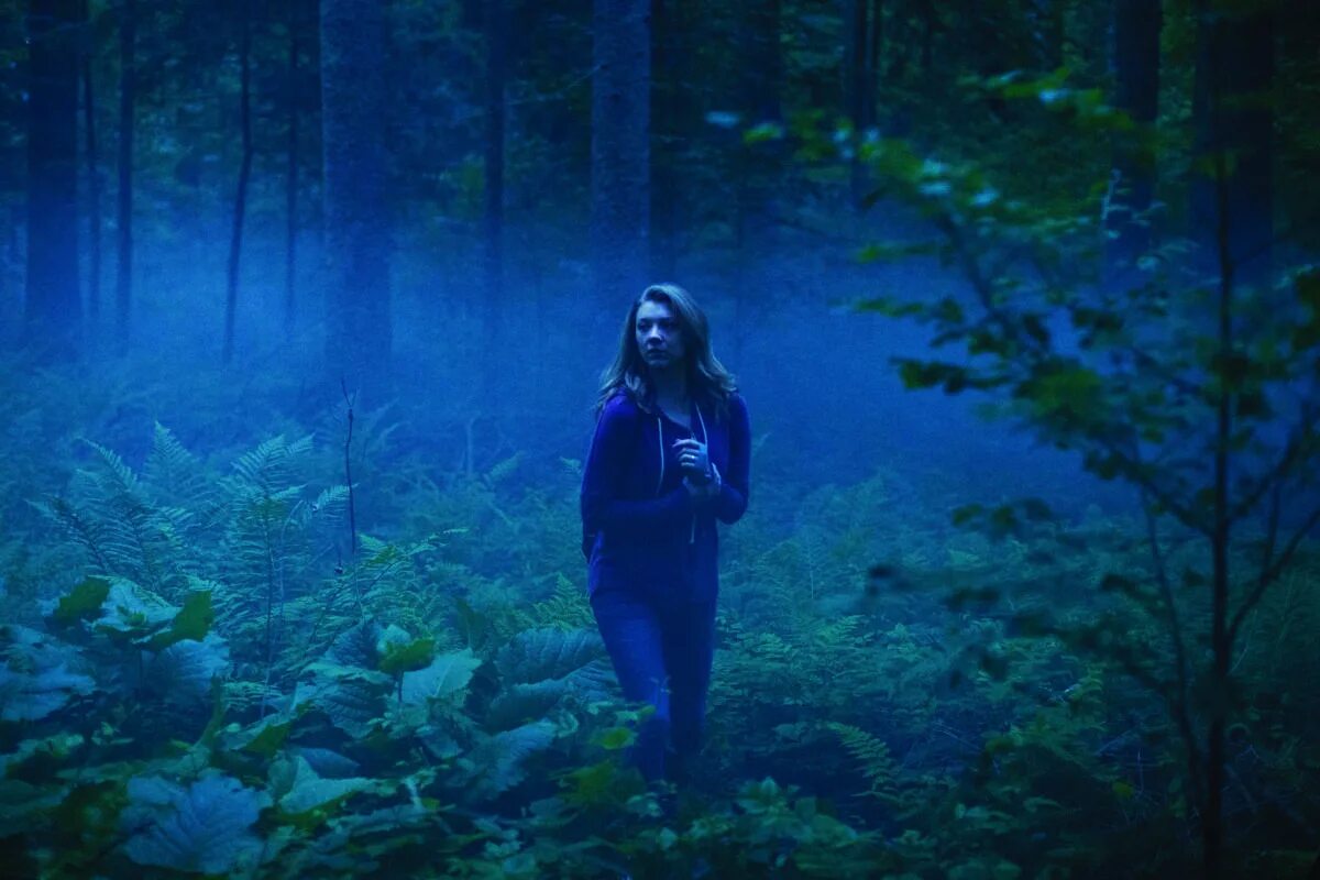 Forest of fear. Натали дормер лес призраков. лес призраков (the forest), 2015.