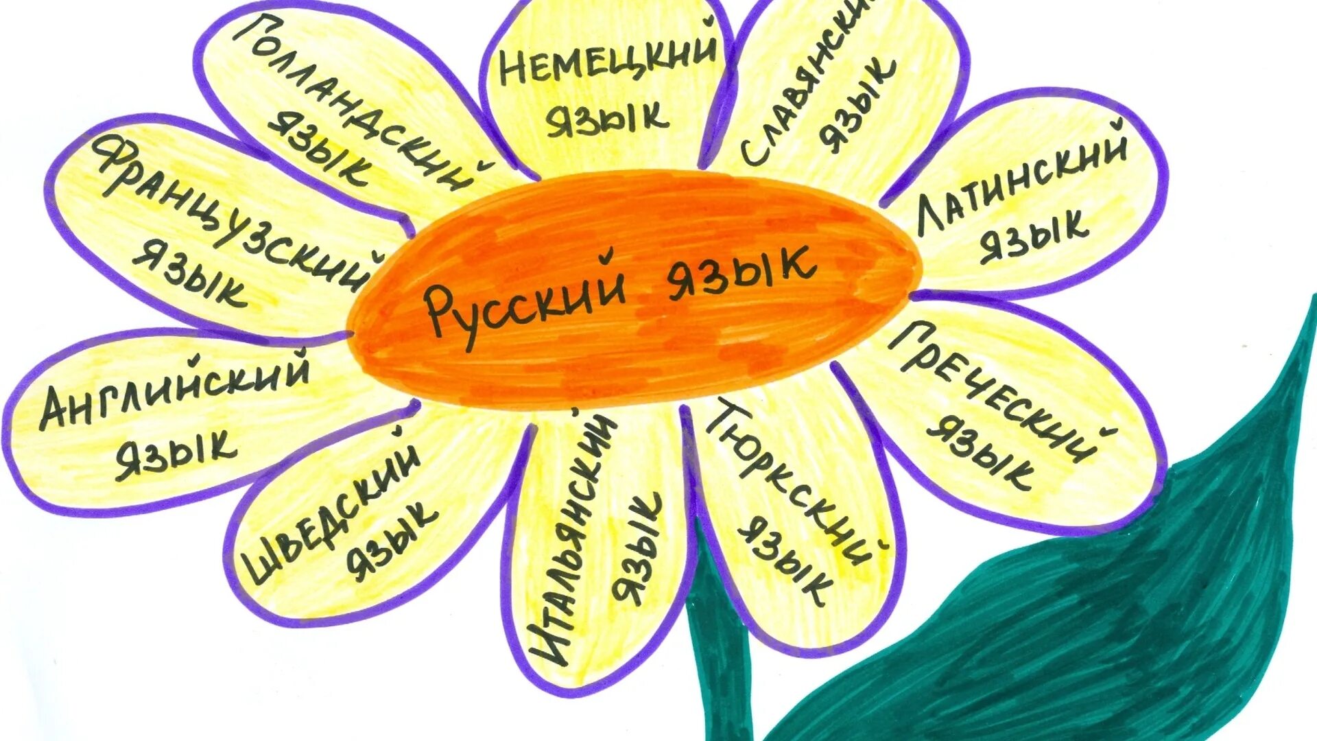 Заимствованные в современной речи. Заимствование слов. заимствование иностранных слов. заимствования в речи в рисунке. рисунок на тему заимствованные слова.