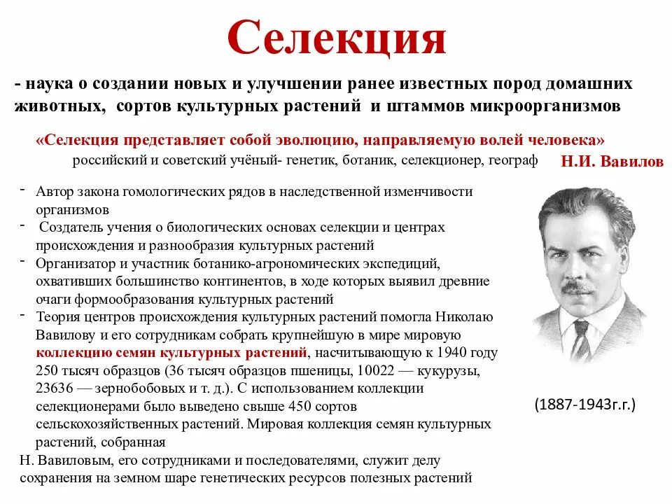 Значение селекции. Учение о центрах многообразия и происхождения культурных растений. Учение о селекции. Термин евгеника. Селекционер биология.