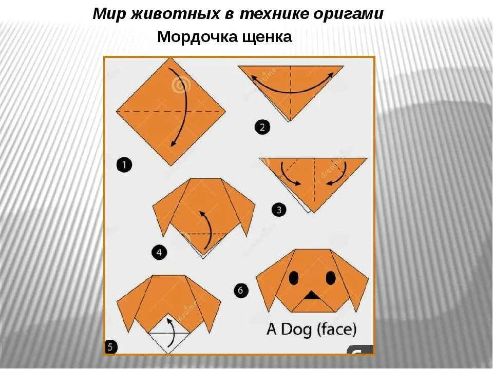 Складывание из бумаги. Оригами сорока из бумаги для детей. Оригами собачка из бумаги. Оригами для детей собака. Оригами собака из бумаги для детей.
