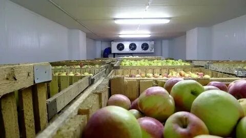 Хранение овощей в екатеринбурге
