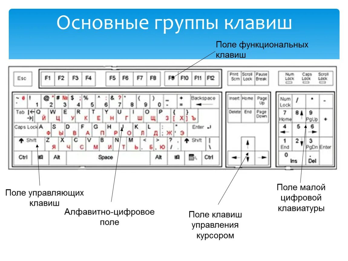 Клавиатура компьютера группы клавиш. Группы клавиш на клавиатуре. Основные группы клавиш. Группы клавиатуры на компьютере. Основные группы компьютера