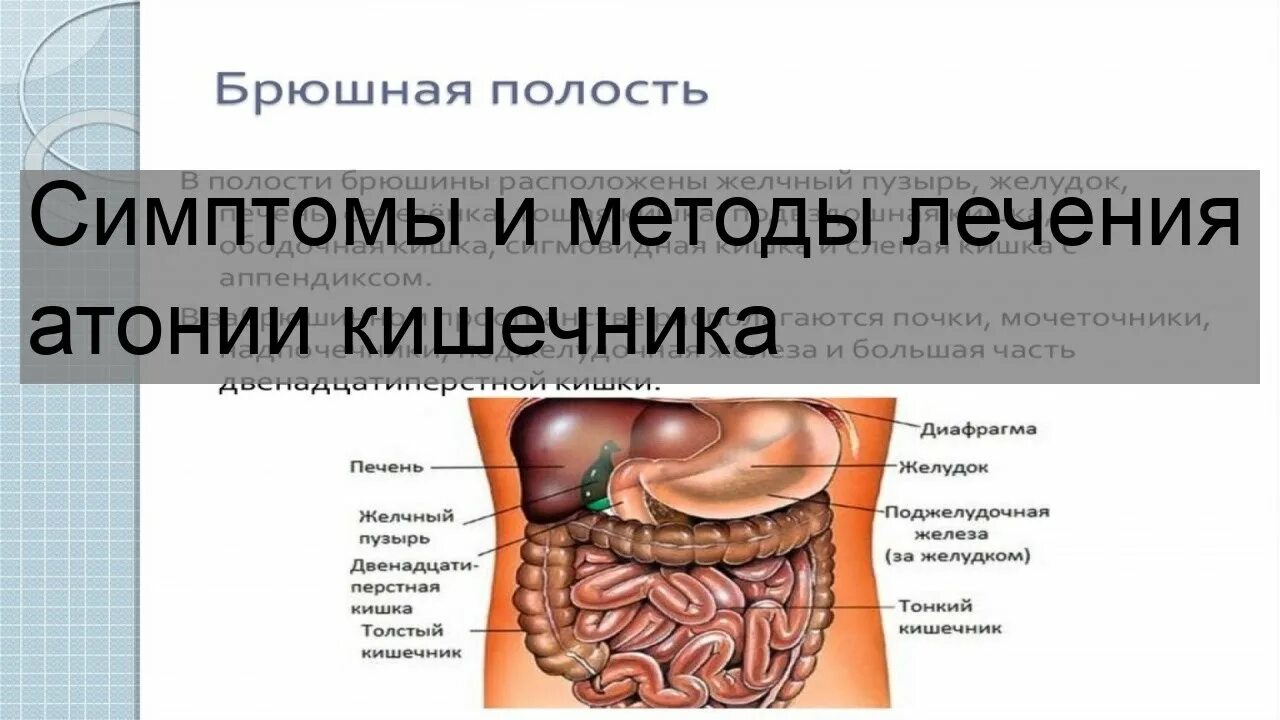 Атония тонкого кишечника. Атония Толстого кишечника. Ленивый кишечник симптомы и лечение