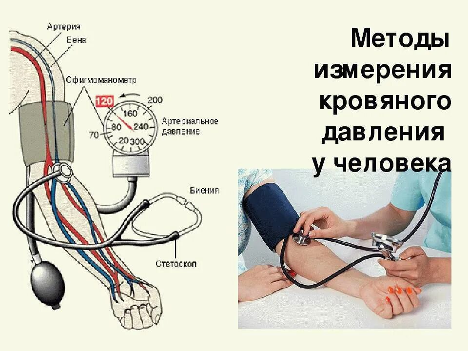 Как понять измерение давления. Алгоритм измерения давления механическим тонометром. алгоритм измерения артериального давления тонометром. как называется давление у человека. измерение артериального давления механическим аппаратом алгоритм.