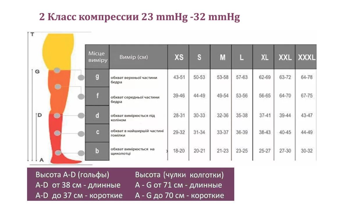 Компрессионные чулки степень компрессии 2 класса. Компрессионные чулки для операции 2 степени компрессии 3 размер. Компрессионные чулки параметры 2 класс компрессии. Компрессионный трикотаж 1 степени компрессии.