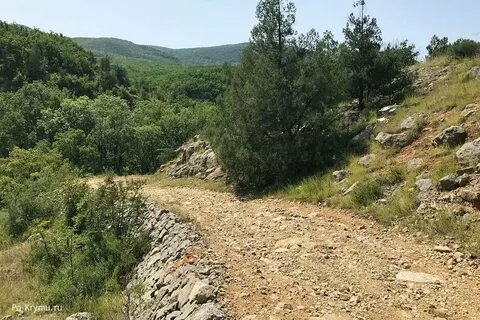 Тропа паласса