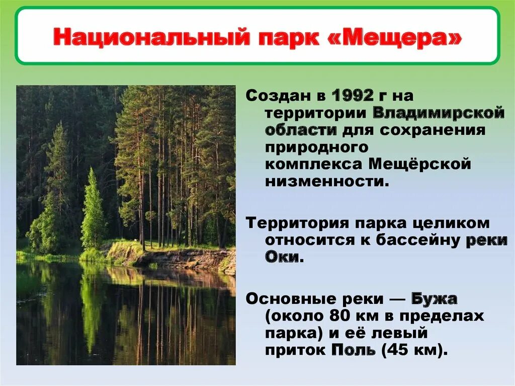 Мещера тема. Национальный парк мещера гусь-хрустальный. национальный парк мещерский гусь хрустальный. мещерский заповедник владимирская область. парк мещера гусь хрустальный.