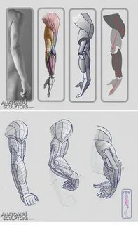 Arm how