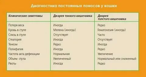 Понос при месячных причины