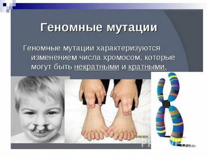 Примеры геномных мутаций