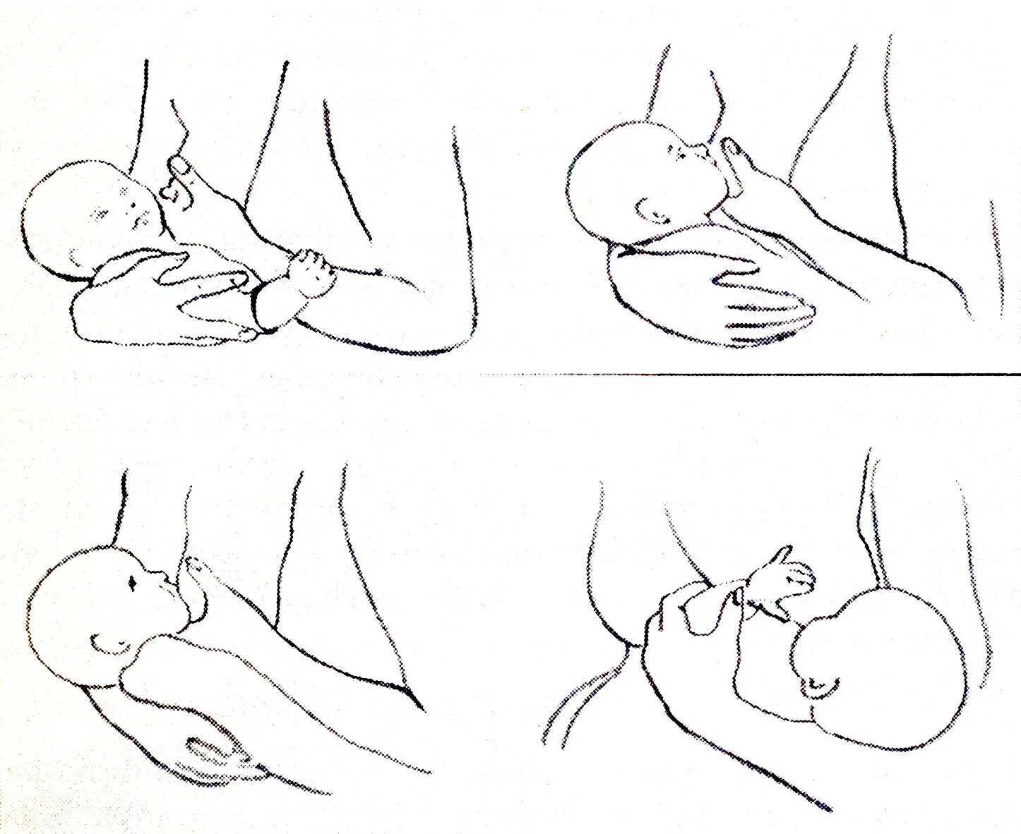 Правильная техника кормления новорожденного грудным молоком. Как правильно прикладывать ребенка для кормления новорожденного. Техника прикладывания ребенка к груди. Вскармливание новорождённого.. Прикладывание новорожденного при грудном вскармливании.