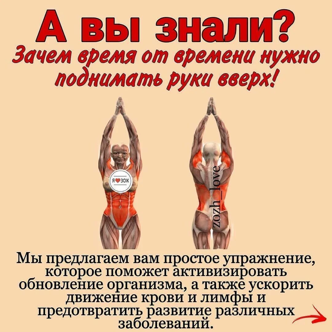руки вверх в стороны упражнение. полезно поднимать руки. упражнение поднятие рук вверх. полезно поднимать руки. руки поднятые вверх.