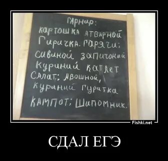 Тексты егэ экзамен