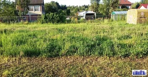 Погода тимоново на неделю
