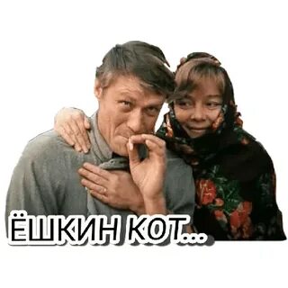 Коты любовь и голуби
