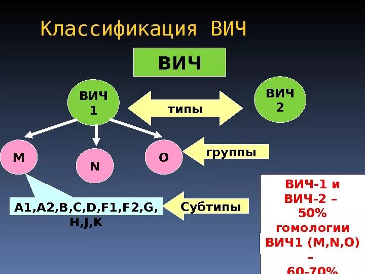 Вирус иммунодефицита человека вич 1