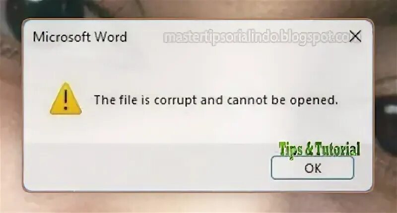 The file may be corrupted