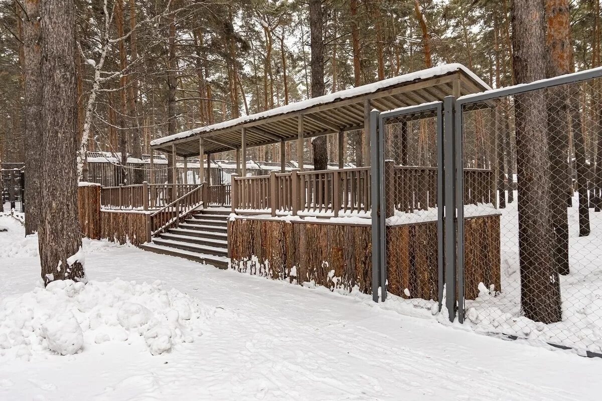 Новосибирский зоопарк вольеры. Новосибирский зоопарк новосибирск вольеры. вольер для пятнистого оленя. ограждение вольера для оленей.