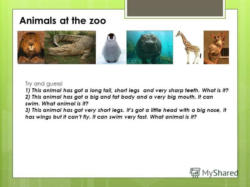 This animal is big. Have has got животные. Animals have got. Описание животного has got. Have has animals Worksheets.