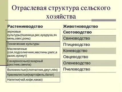 Состав хозяйства это
