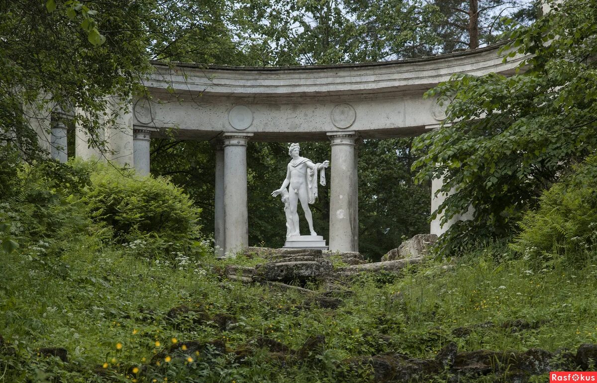 парк аполлон. камерон колоннада аполлона. аполлон бельведерский павловский парк. аполлон бельведерский в павловске. аполлон бельведерский скульптура летний сад.