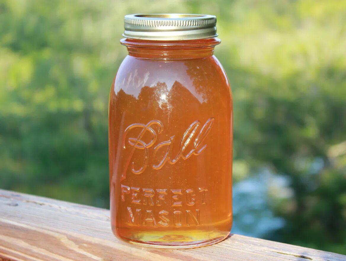 Honey l. Мед в бутылке. Jar. Jar картинка.
