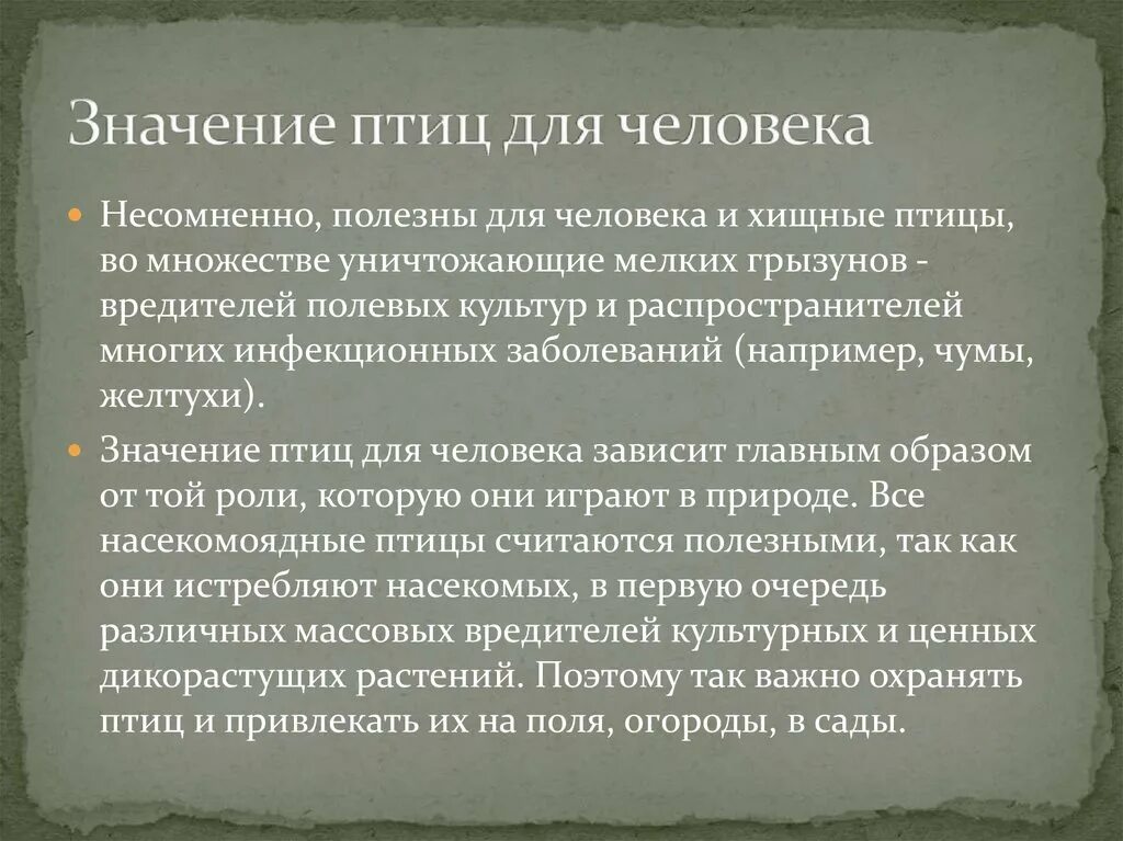 Биология 7 класс значение птиц в природе. Значение птиц для человека. Сообщение о значении птиц. Значение птиц в природе. Значение птиц для человека кратко.