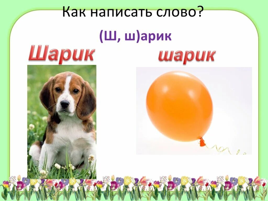 Слово шарик. Предложение со словом шарик и шарик. Предложение со словом шар. Предложение со словом шары. Как пишется слово мая