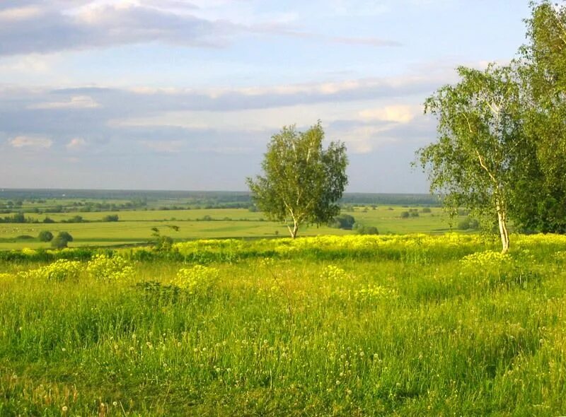 Родной край связь. Рязанские поля Есенин. Рязанские раздолья Есенин. Есенинская Русь. Константиново Есенинская Русь.